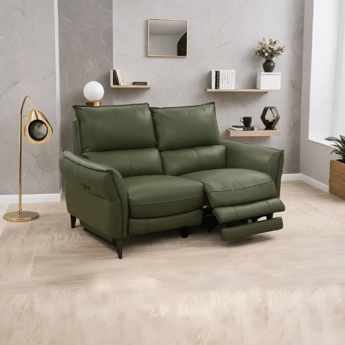 recliner sofa-003